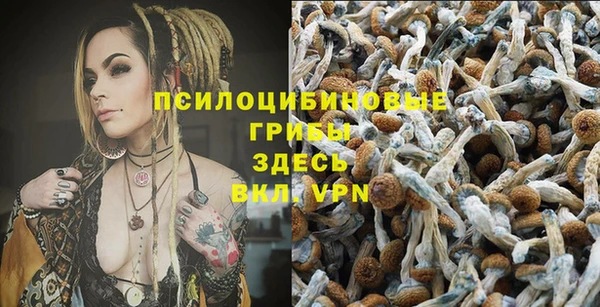 синтетический гашиш Вяземский