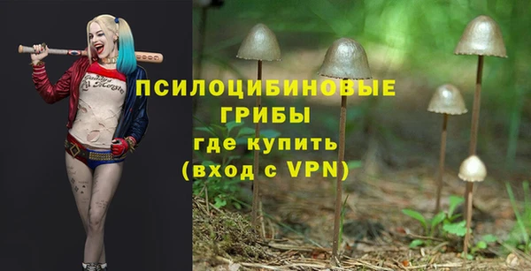 прущий лед Вязники
